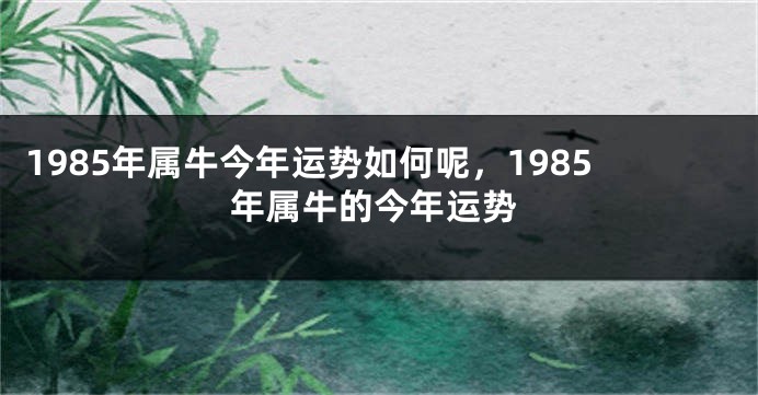 1985年属牛今年运势如何呢，1985年属牛的今年运势