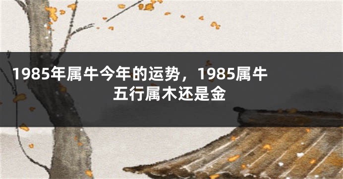 1985年属牛今年的运势，1985属牛五行属木还是金