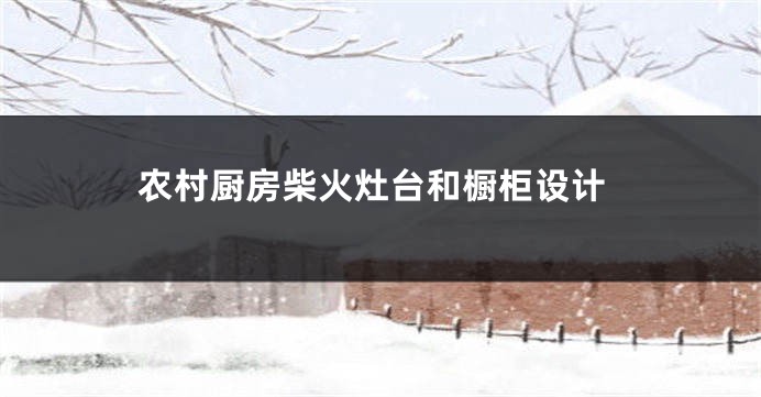 农村厨房柴火灶台和橱柜设计