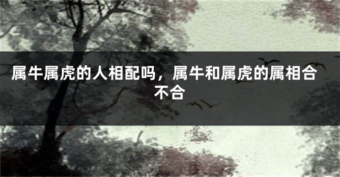 属牛属虎的人相配吗，属牛和属虎的属相合不合