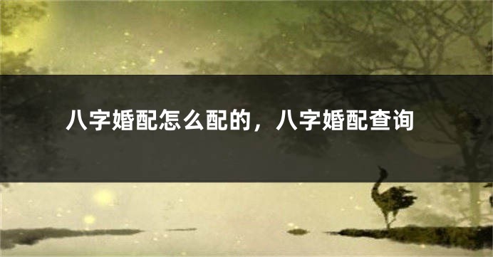八字婚配怎么配的，八字婚配查询