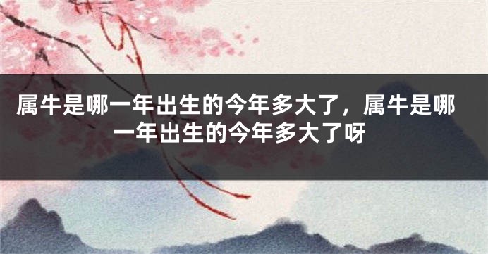属牛是哪一年出生的今年多大了，属牛是哪一年出生的今年多大了呀