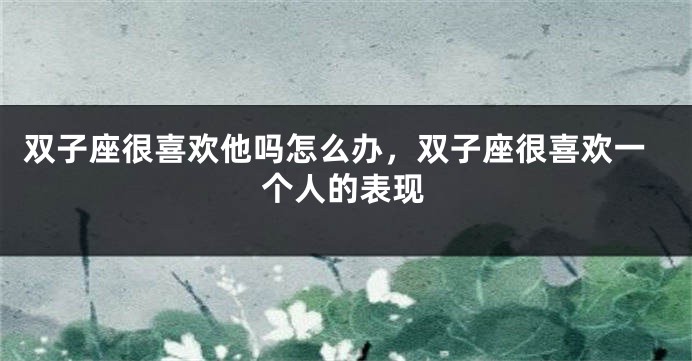 双子座很喜欢他吗怎么办，双子座很喜欢一个人的表现