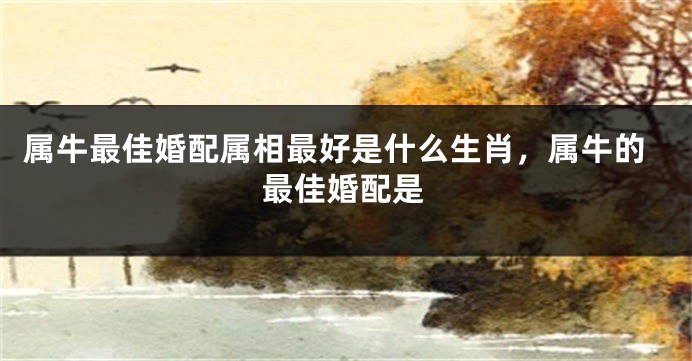 属牛最佳婚配属相最好是什么生肖，属牛的最佳婚配是