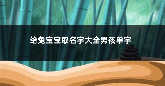 给兔宝宝取名字大全男孩单字