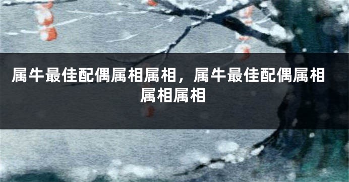 属牛最佳配偶属相属相，属牛最佳配偶属相属相属相