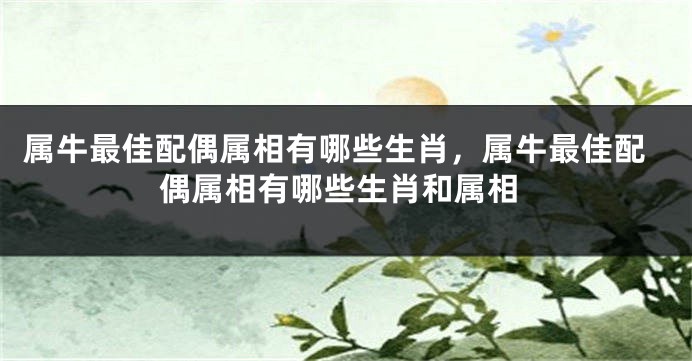 属牛最佳配偶属相有哪些生肖，属牛最佳配偶属相有哪些生肖和属相