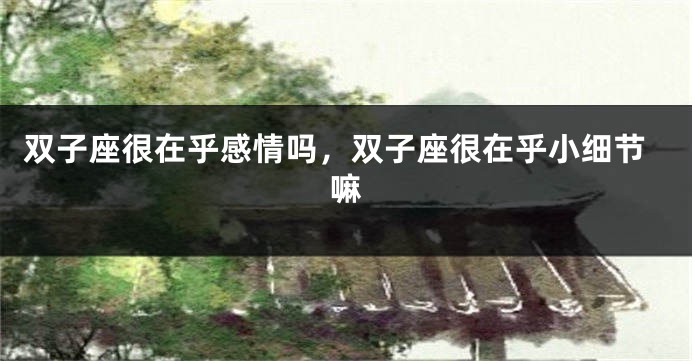 双子座很在乎感情吗，双子座很在乎小细节嘛
