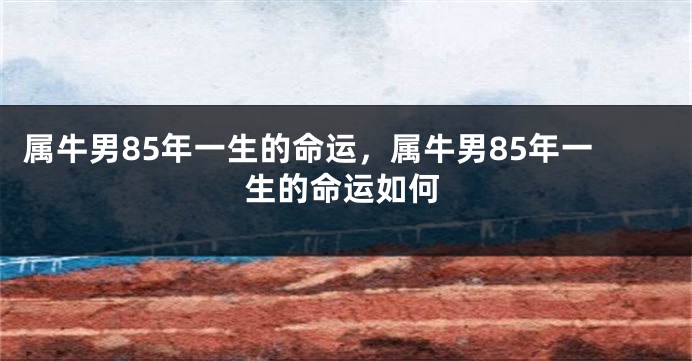 属牛男85年一生的命运，属牛男85年一生的命运如何