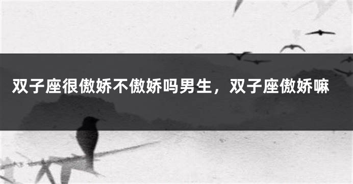 双子座很傲娇不傲娇吗男生，双子座傲娇嘛