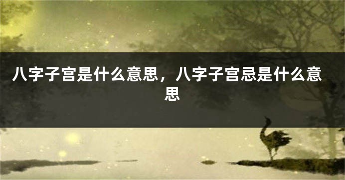 八字子宫是什么意思，八字子宫忌是什么意思