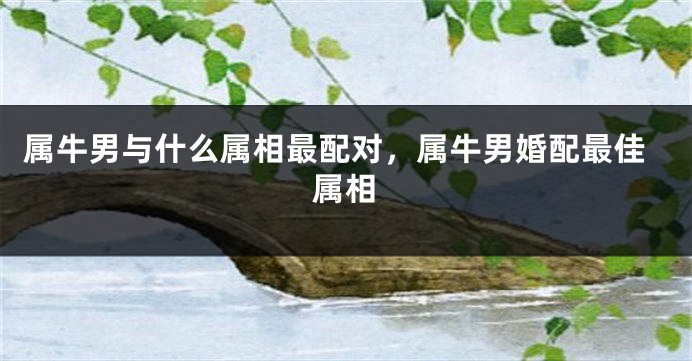 属牛男与什么属相最配对，属牛男婚配最佳属相