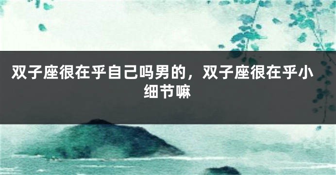 双子座很在乎自己吗男的，双子座很在乎小细节嘛
