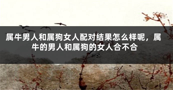 属牛男人和属狗女人配对结果怎么样呢，属牛的男人和属狗的女人合不合