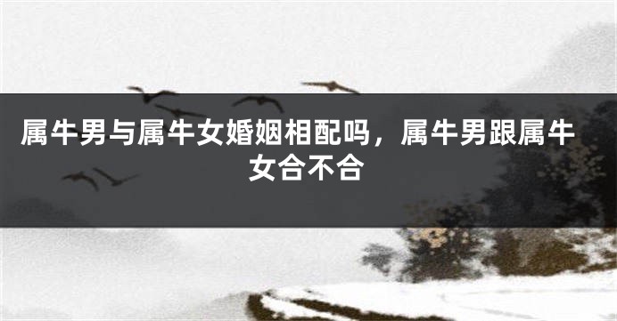 属牛男与属牛女婚姻相配吗，属牛男跟属牛女合不合