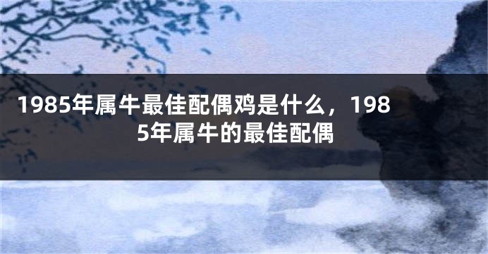 1985年属牛最佳配偶鸡是什么，1985年属牛的最佳配偶