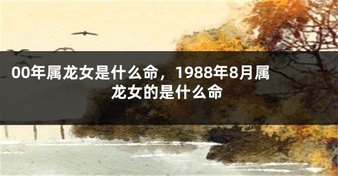00年属龙女是什么命，1988年8月属龙女的是什么命