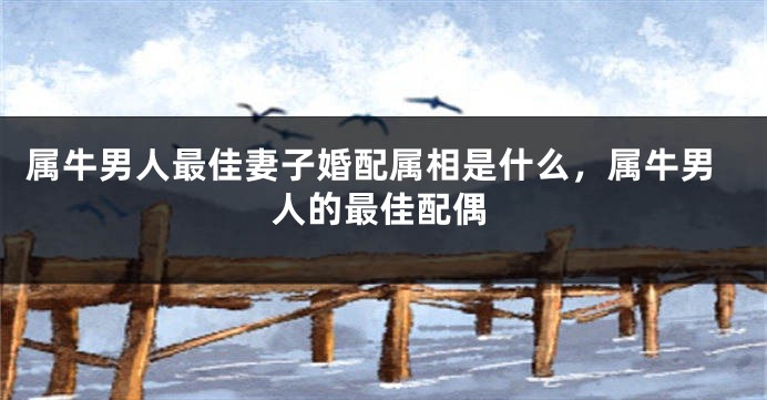 属牛男人最佳妻子婚配属相是什么,属牛男人的最佳配偶