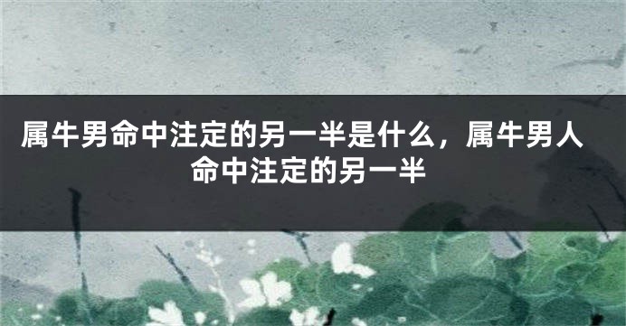 属牛男命中注定的另一半是什么，属牛男人命中注定的另一半