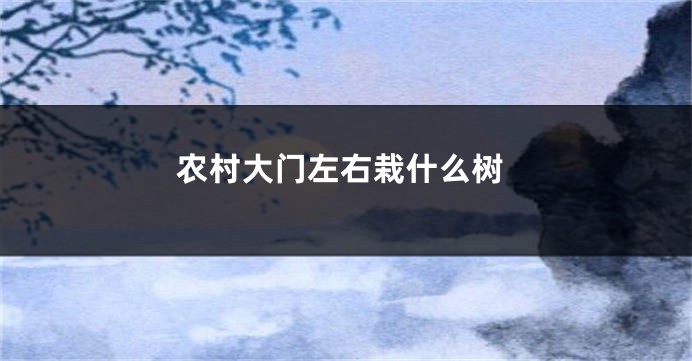 农村大门左右栽什么树