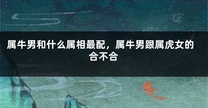 属牛男和什么属相最配，属牛男跟属虎女的合不合