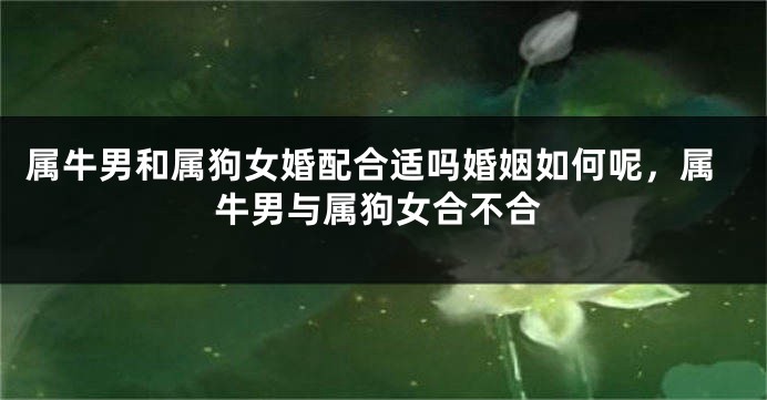 属牛男和属狗女婚配合适吗婚姻如何呢，属牛男与属狗女合不合