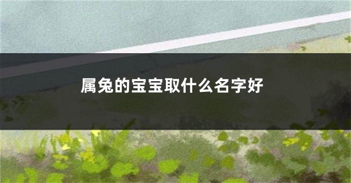 属兔的宝宝取什么名字好