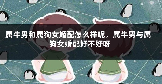 属牛男和属狗女婚配怎么样呢，属牛男与属狗女婚配好不好呀