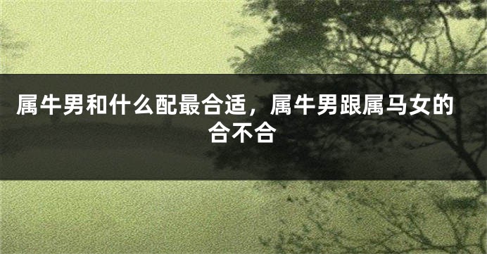 属牛男和什么配最合适，属牛男跟属马女的合不合