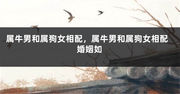 属牛男和属狗女相配，属牛男和属狗女相配婚姻如