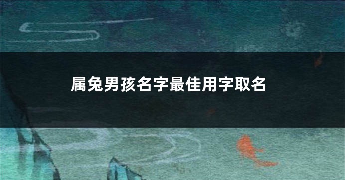 属兔男孩名字最佳用字取名