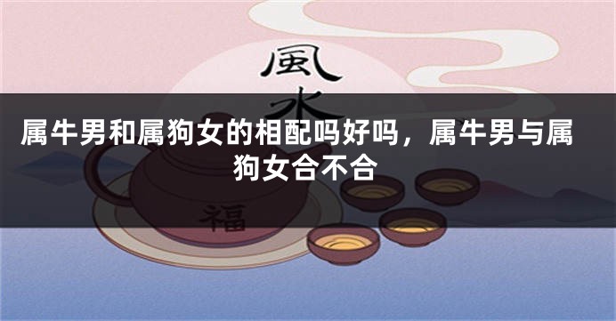 属牛男和属狗女的相配吗好吗，属牛男与属狗女合不合