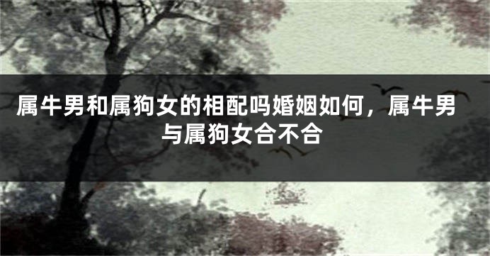属牛男和属狗女的相配吗婚姻如何，属牛男与属狗女合不合