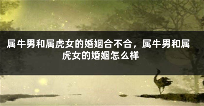 属牛男和属虎女的婚姻合不合，属牛男和属虎女的婚姻怎么样