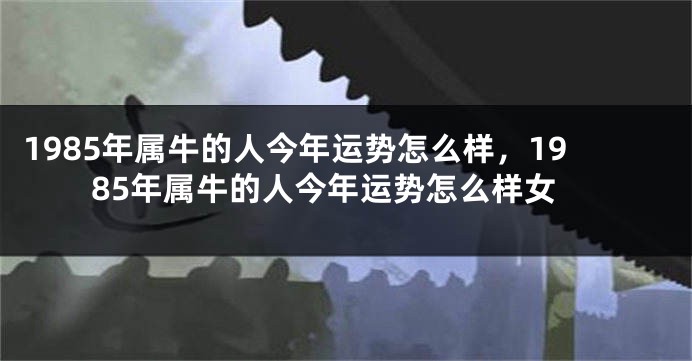 1985年属牛的人今年运势怎么样，1985年属牛的人今年运势怎么样女