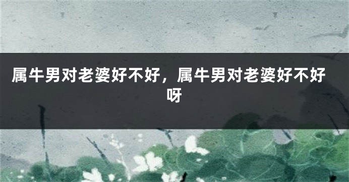 属牛男对老婆好不好,属牛男对老婆好不好呀