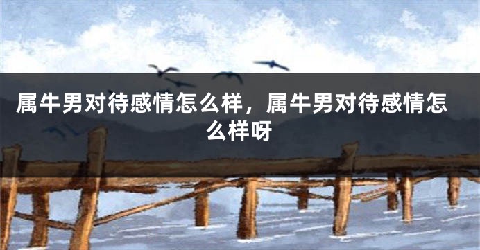 属牛男对待感情怎么样,属牛男对待感情怎么样呀