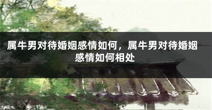 属牛男对待婚姻感情如何，属牛男对待婚姻感情如何相处