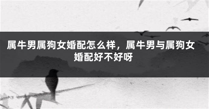属牛男属狗女婚配怎么样，属牛男与属狗女婚配好不好呀