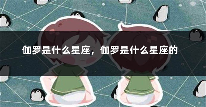 伽罗是什么星座，伽罗是什么星座的