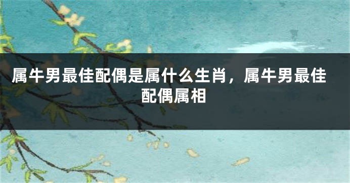 属牛男最佳配偶是属什么生肖，属牛男最佳配偶属相