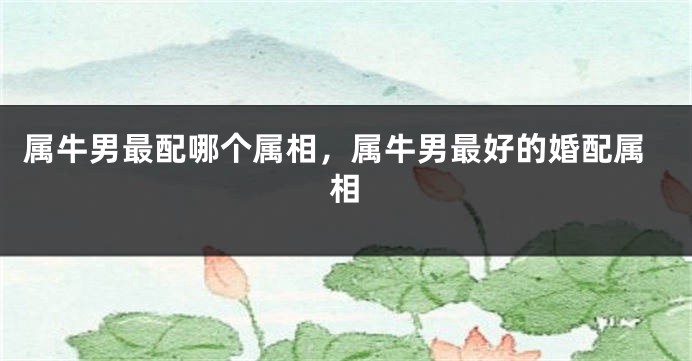 属牛男最配哪个属相，属牛男最好的婚配属相