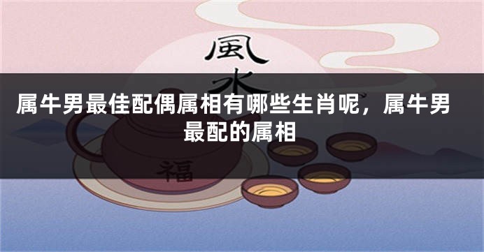 属牛男最佳配偶属相有哪些生肖呢，属牛男最配的属相