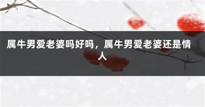 属牛男爱老婆吗好吗，属牛男爱老婆还是情人