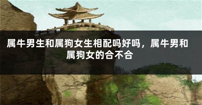 属牛男生和属狗女生相配吗好吗，属牛男和属狗女的合不合