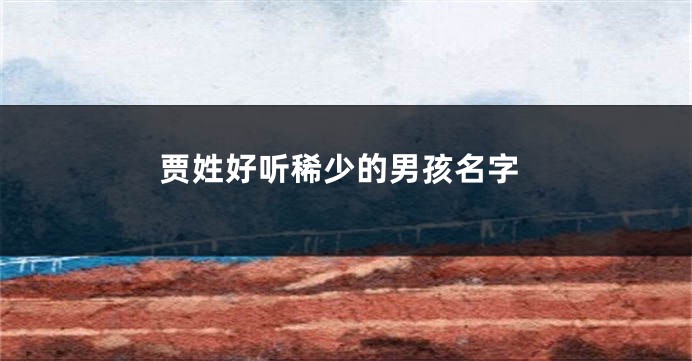贾姓好听稀少的男孩名字