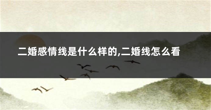 二婚感情线是什么样的,二婚线怎么看