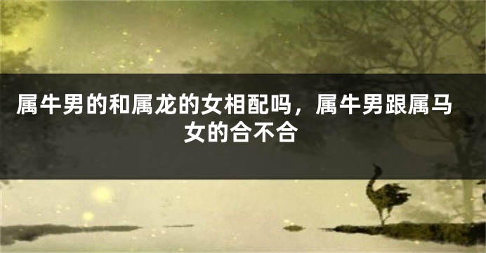属牛男的和属龙的女相配吗，属牛男跟属马女的合不合