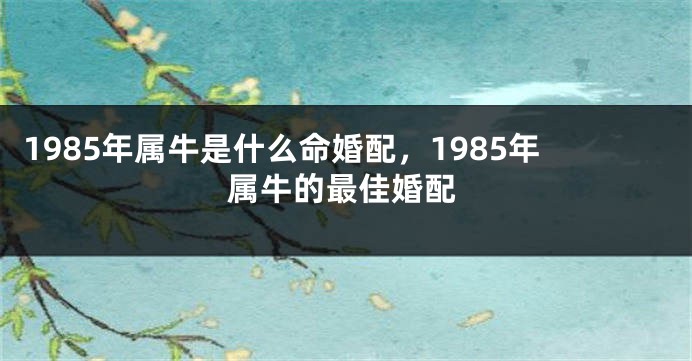 1985年属牛是什么命婚配，1985年属牛的最佳婚配