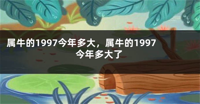 属牛的1997今年多大，属牛的1997今年多大了